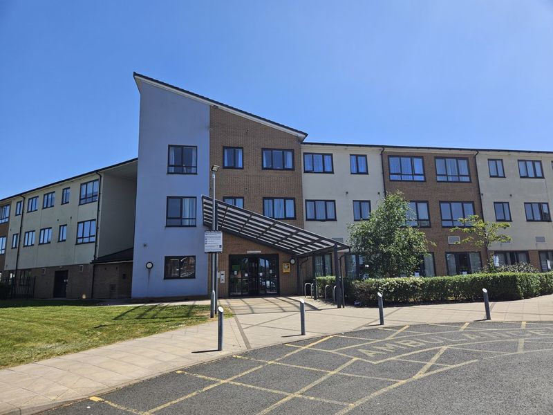Main Image